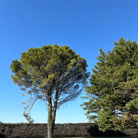 Liberty Alojamento de Acomodação e Pequeno-almoço Entraigues-sur-la-Sorgue